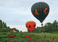 balonul orange la beius