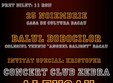 balul bobocilor c t anghel saligny 