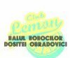 balul bobocilor d obradovici