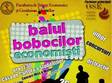 balul bobocilor economisti