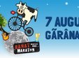 banat mountainbike maraton