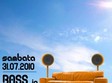 bass in grass in club baldo