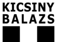 bazis kicsiny balazs the art of self justification