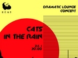 beat de cats in the rain concert dramatic lounge