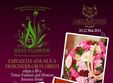 best flower 2011 la hotel carol parc
