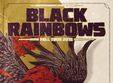 black rainbows wooldozer question mark