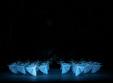 poze bolsoi teatr live in hd giselle class concert