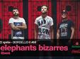 bordello anniversary live concert les elephants bizarres