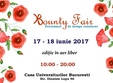 bounty fair 26 targ de design si ateliere in aer liber