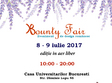 bounty fair 27 targ si ateliere in aer liber 8 9 iulie 2017