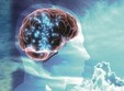 brain fitness 