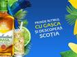 brasil shake party by ballantine s