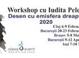 brasov atelier desen cu emisfera dreapta cu iudita pelea