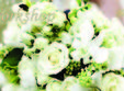 bride workshop