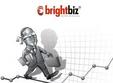 brightbiz decizii pe baza informatiilor economice o consultanta financiara gratuita