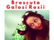 broscuta galosi rosii