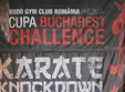 poze bucharest challenge cup 2013 