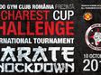 bucharest challenge cup 2015 competitie de karate full contact