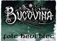 bucovina live in oradea local support n o r