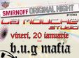 bug mafia la arad