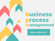 business process management curs practic