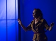 calatoarea i shakespeare regia ruxandra bala u