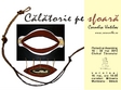 calatorie pe sfoara