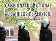 campionat de dresaj 