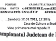 campionatul judetean de majorete