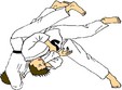 campionatul militar de judo