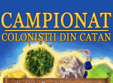 campionatul national de catan etapa locala