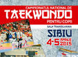 campionatul national de taekwon do pentru copii sibiu 2015