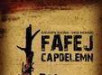 capdelemn teatrul maghiar de stat