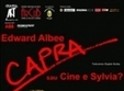  capra sau cine e sylvia la teatrul act