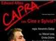 capra sau cine e sylvia la teatrul act