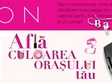 caravana avon in piatra neamt