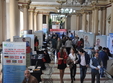 careers in white timisoara
