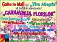 carnavalul florilor la piatra neamt