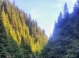 cascada 7 izvoare i lacul scropoasa