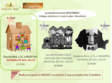 casuta mea a ta a noastra atelier pentru copii