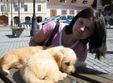catei si pisicute de adoptat