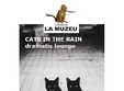 cats in the rain in cafeneaua la muzeu