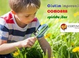 cautare de comori in familie
