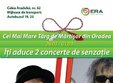 cel mai mare targ de martisor din oradea