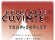 celelalte cuvinte trup i suflet acustic la quantic