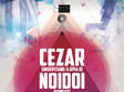 cezar noidoi vincentiulian milenium cladirea albastra 