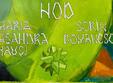 poze chemare concert nod