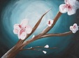 cherry blossoms