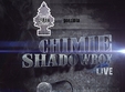 chimie shadowbox in fabrica