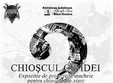 chioscul cu idei expozitie de arhitectura urbana oradea